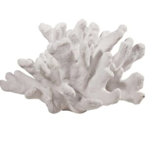 White coral