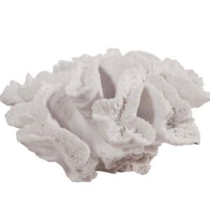 Hamptons Coral