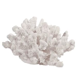 Hamptons Coral piece