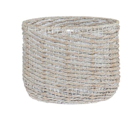 thumbnail_AD5B0E09-C6CF-4359-850F-396219A30D3C