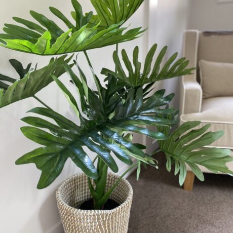 thumbnail_IMG_5515 (1)